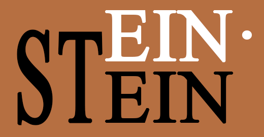 Ein-Stein logo